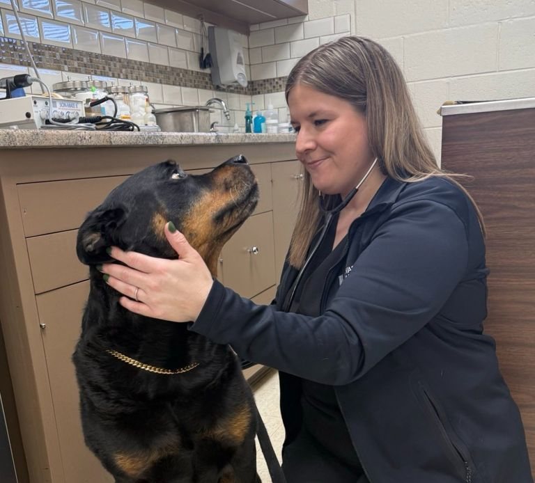 A team member caring for a dog at Veterinary Urgent Care